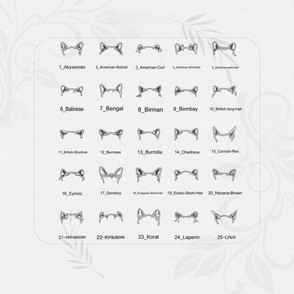 Chart of cat breed head shapes on a white background