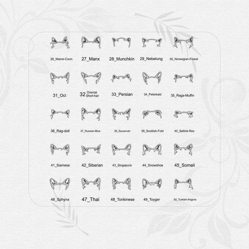 Chart of cat breeds with corresponding numbers on a white background